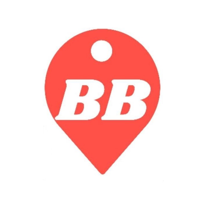 website logo